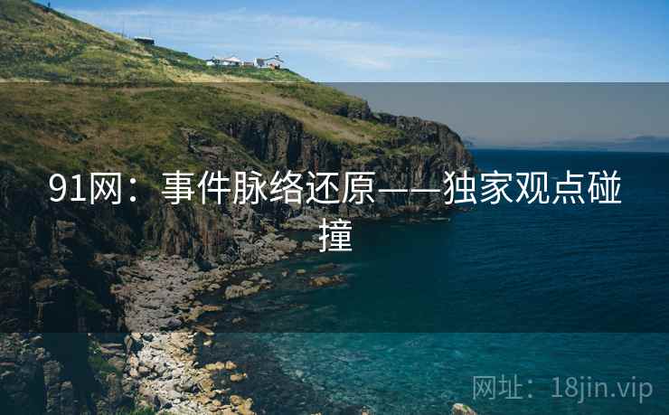 91网：事件脉络还原——独家观点碰撞